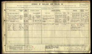 The census record for the Fagan family